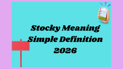 Stocky Meaning2026