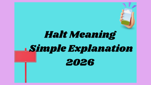 Halt Meaning2026