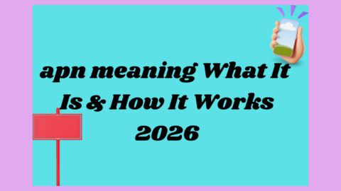 apn meaning2026
