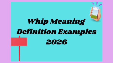 Whip Meaning2026