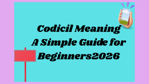 Codicil Meaning2026
