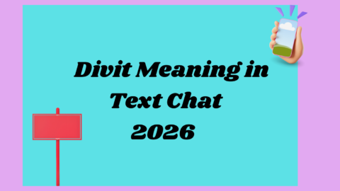 Divit Meaning2026