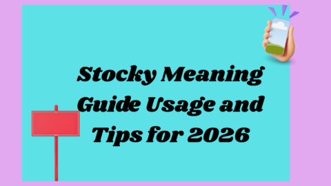 Stocky Meaning2026
