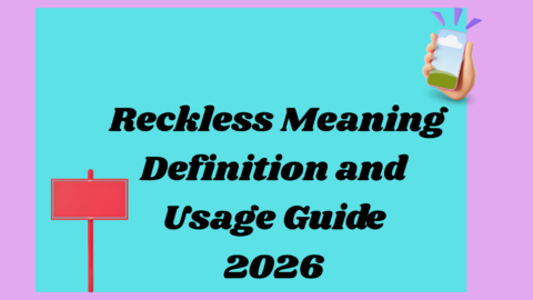 Reckless Meaning2026