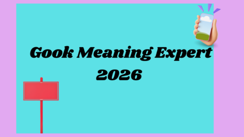 Gook Meaning Expert2026