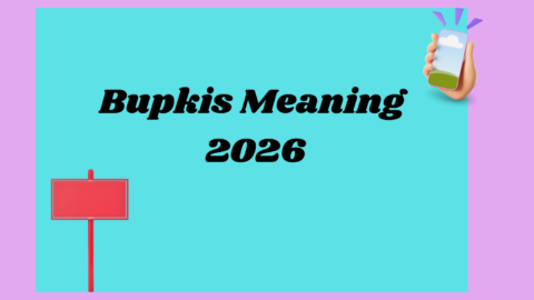 Bupkis Meaning2026