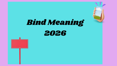 Bind Meaning2026