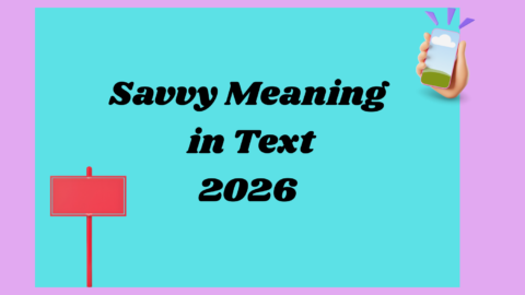 Savvy Meaning 2026