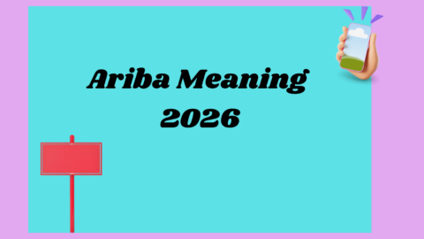 Ariba Meaning2026