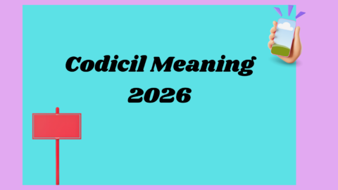Codicil Meaning2026