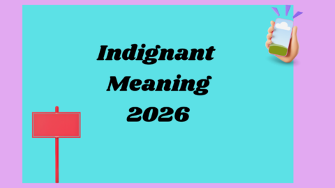 Indignant Meaning2026