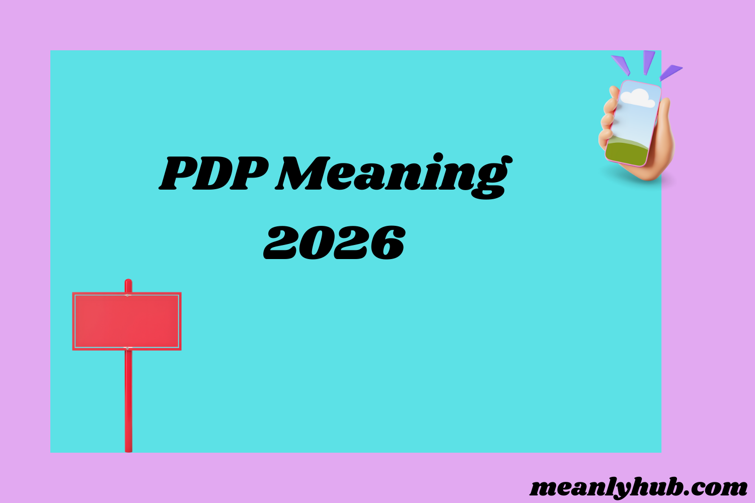 PDP Meaning What It Really Stands for in Texts and Online Chats 2026