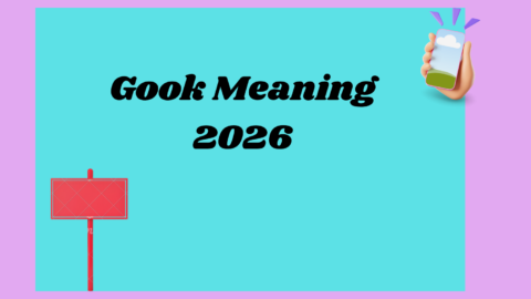 Gook Meaning2026