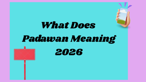 Padawan Meaning 2026