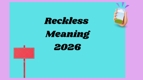 Reckless Meaning2026