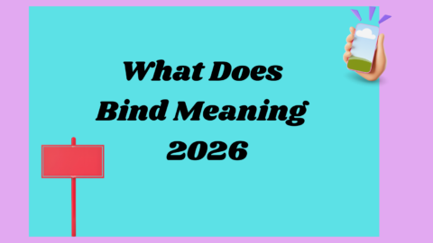 Bind Meaning 2026