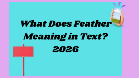 Feather Meaning2026