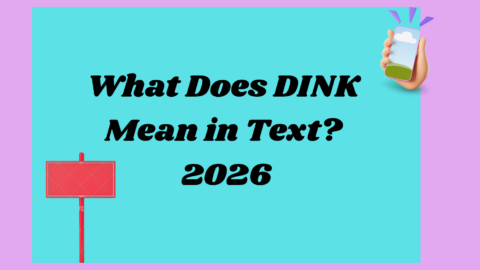 DINK Mean2026