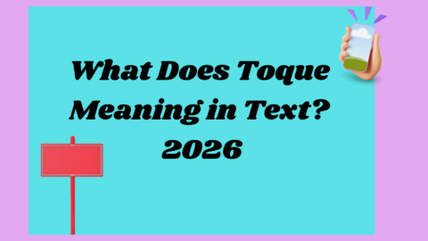 Toque Meaning2026