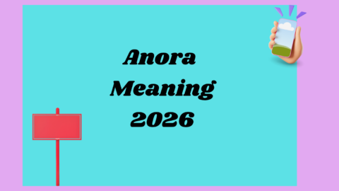 Anora Meaning2026