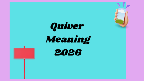 Quiver Meaning 2026