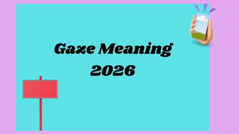 Gaze Meaning 2026