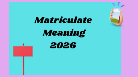 Pseudonym Meaning2026