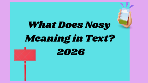 Nosy Meaning 2026
