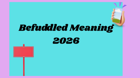 Befuddled Meaning2026