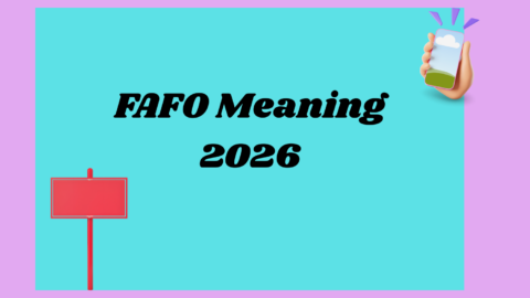 FAFO Meaning2026