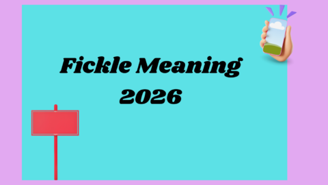 Fickle Meaning2026