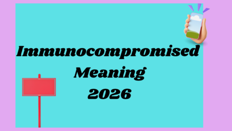 Immunocompromised Meaning2026
