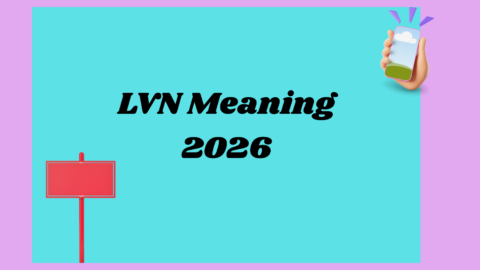 LVN Meaning2026