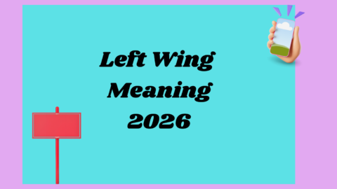 Left Wing Meaning2026