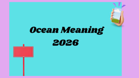 Cake by the Ocean Meaning2026