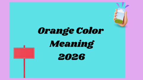 Orange Color Meaning 2026