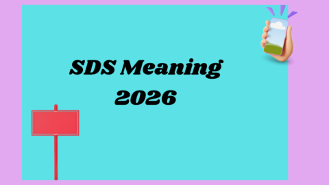 SDS Meaning 2026