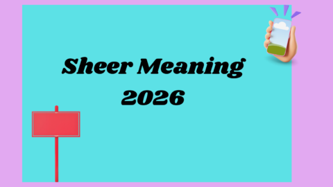 Sheer Meaning2026