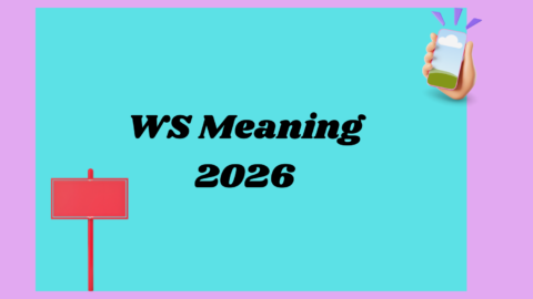 WS Meaning2026