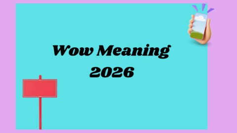 Wow Meaning2026