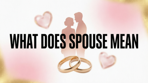 What Does Spouse Mean2026