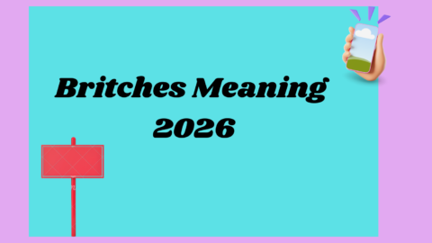 Britches Meaning2026