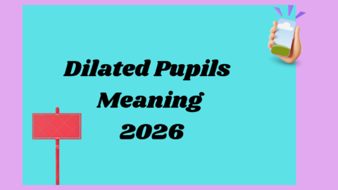Dilated Pupils Meaning2026