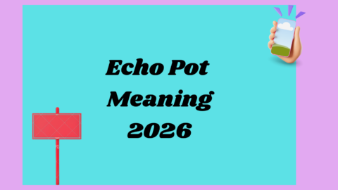 Echo Pot Meaning 2026
