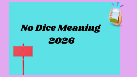 No Dice Meaning 2026