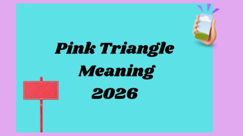 Pink Triangle Meaning 2026