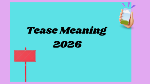 Tease Meaning2026
