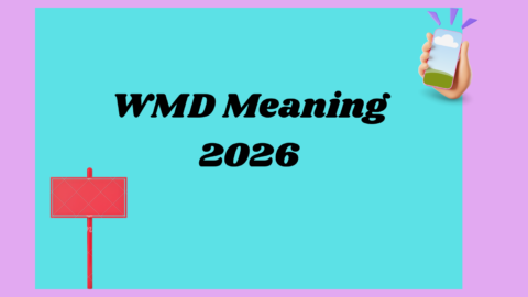 WMD Meaning2026