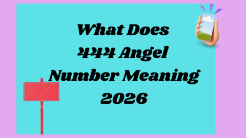 444 Angel Number Meaning2026